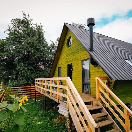 Wooden Cottage "Green House" In Bakuriani Eksteriør billede